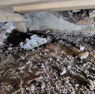 協力会社1　実績117