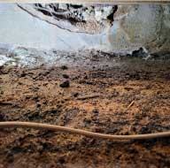 協力会社1　実績119