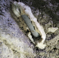 協力会社1　実績72