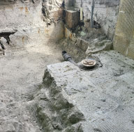 協力会社1　実績82