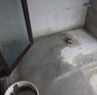 協力会社1　実績88